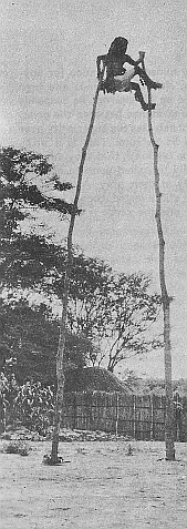 Makishi poledance
